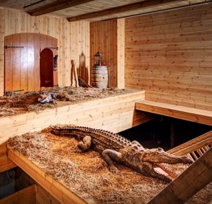 Nje krokodil prej druri, nje prej specieve qe do te "shpetojne" ne kete udhetim