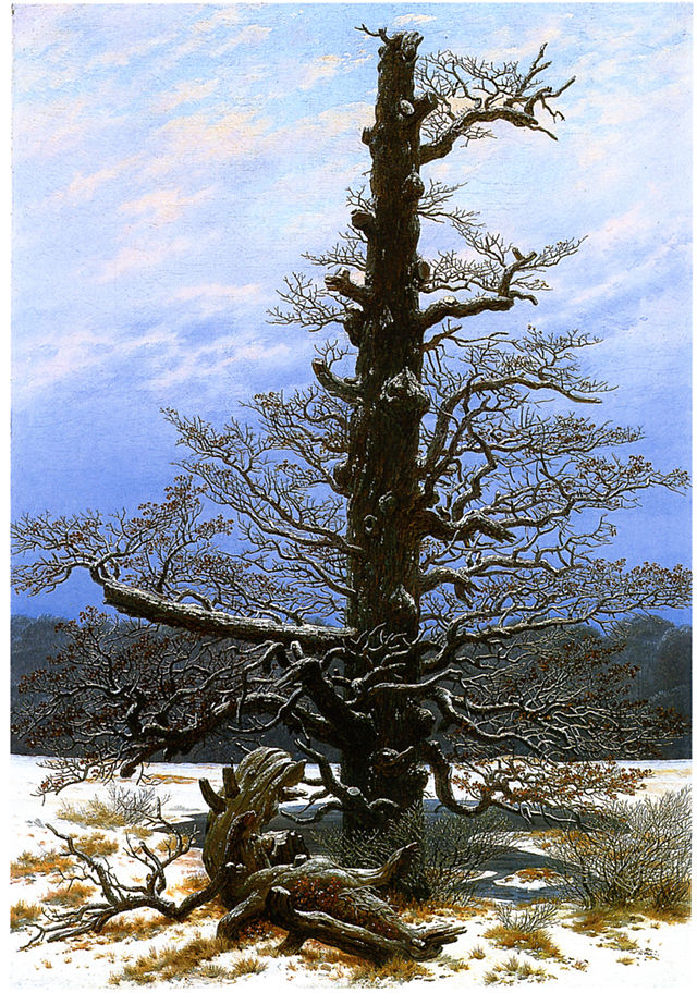 Oak_Tree_in_the_Snow.jpg